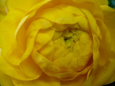 P1010919