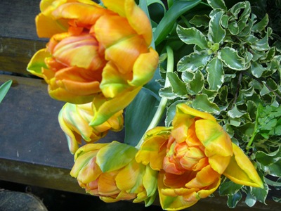 P1020021