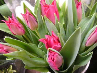 P1020024