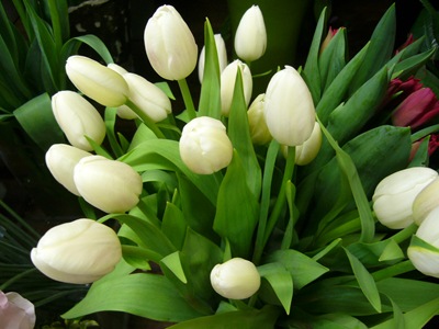 P1020025
