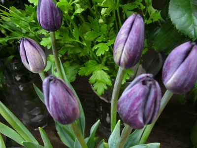 P1020027