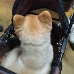 過去最大？！